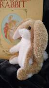 Daddy Got Me My Own Velveteen Rabbit