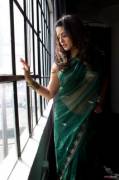 [Indian] Sunny Leone in Green Saree [Album]