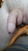 Love [m]y foreskin! Anybody else?
