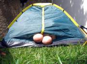Day of camping