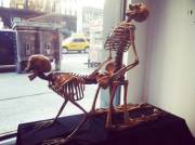 Getting boned