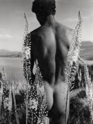 [1930] Arab man in flowers by Herbert List