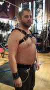 Got a new harness. What do you think?