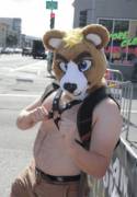 Fuzzy Cub!