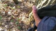 Horny in the woods! Bonus gif inside!