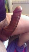 Norwegian girth