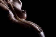 Pregnant with Pearls