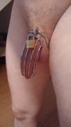I got my first chastity device today. I was so excited, I could barely get it on.