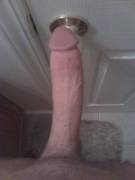 Big hard dick