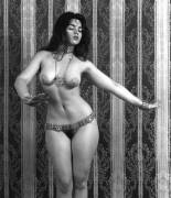 Vintage model