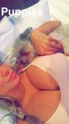Puppies