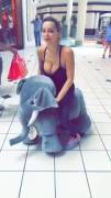 Riding an elephant (gif)