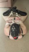 Shiny hogtie