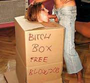 Bitch box