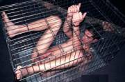 Caged Twink