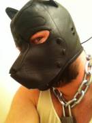 Pup selfie :3