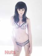 Cheetah Print