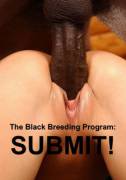 The new program