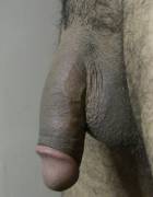 Soft fatty