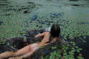 Taking a swim through the lily pads