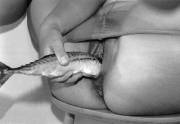 Fresh Sushi