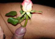 A rose for M'lady.