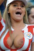 Sports fan