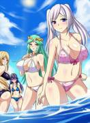 Robin, Palutena, Samus and Lucina spending time in Wuhu Island (source needed)