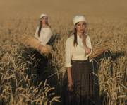 Harvest.