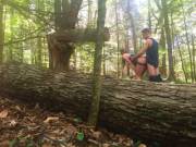 in the forest