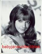 Happy birthday to '60s TV cutie Brenda Scott