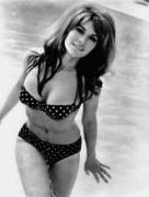 Happy Birthday Michele Carey