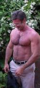 Pecs