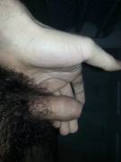 5" when erect