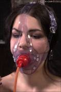 Nice clear head harness