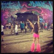 Nocturnal Wonderland