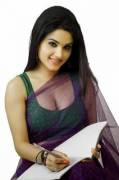 Teacher in Transparent Saree