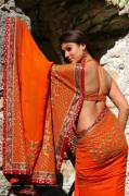 Nayantara - Hot back in Saree