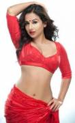 Red hot saree