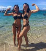 Gun Show