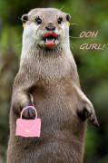 Ooh, gurl!