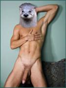 Bitches love otters (nsfw, of course)