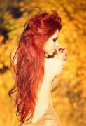 Autumn Red
