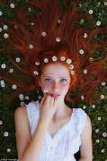 Daisies
