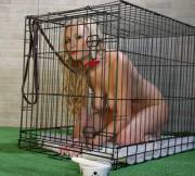 Good girl