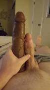 Hubby's cock vs favorite dildo