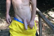 Freedom in the Wood