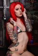 Cervena Fox