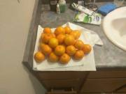 I need a dedicated showerorange bowl.