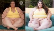 Boberry's Comparison